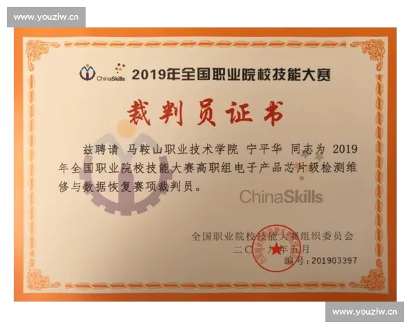 体育裁判职业发展与公平执裁机制创新研究新路径实践探索与人才培养体系构建